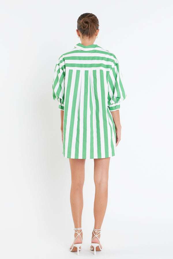 English Factory Big Stripe Shirt Dress GREEN STRIPE