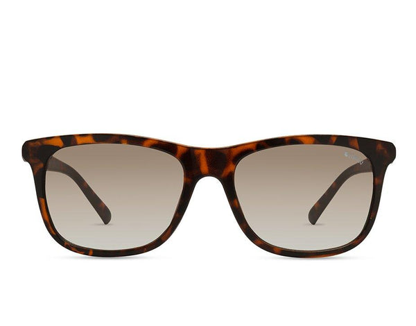 Enrico Boldsoul Sunglass 3004 Black