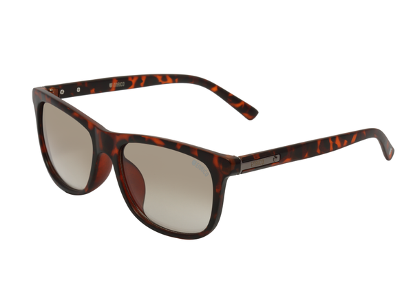 Enrico Boldsoul Sunglass 3004 Demi