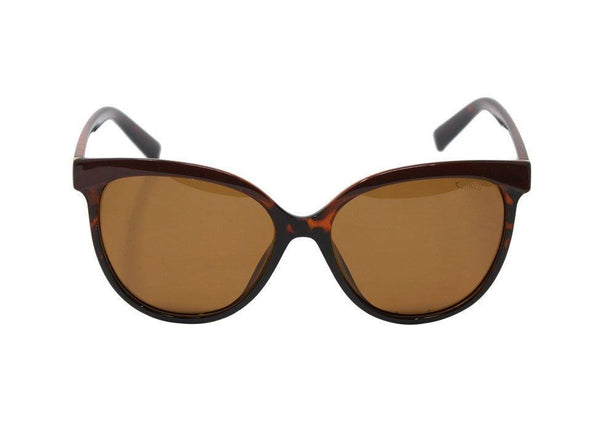 enrico Brownie Sunglass 3031 Brown