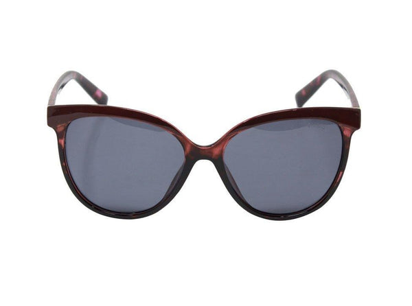 enrico Brownie Sunglass 3031 Maroon
