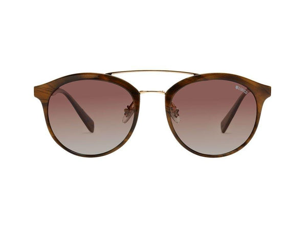 enrico Muscat Sunglass 1028 Brown
