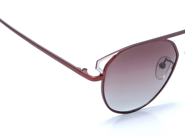 Enrico Nonose Sunglass 1102 Brown