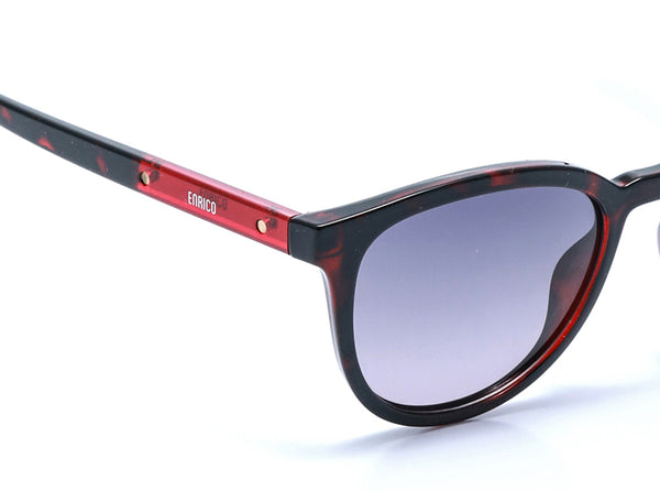 Enrico Polly Sunglass 4022 Brown