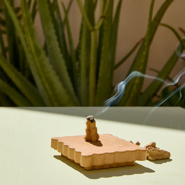 Entryways Cinder Citronella Incense Cones With Burner Yuzu