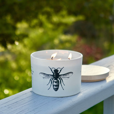 Entryways Citronella Blossom Triple-Wick Candle