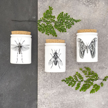 Entryways Citronella Eucalyptus Candle