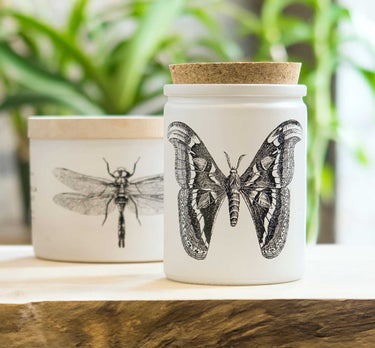 Entryways Citronella Sea Salt Candle