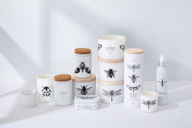 Entryways Citronella Sea Salt Candle