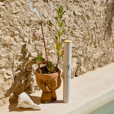 Entryways Citronella Sea Salt Jumbo Incense