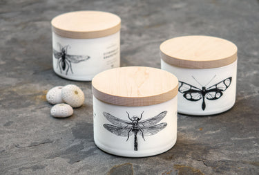 Entryways Citronella Sea Salt Triple-Wick Candle
