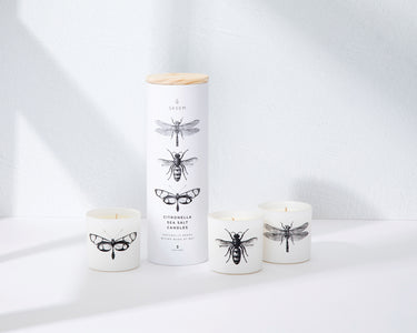 Entryways Citronella Sea Salt Votive Set