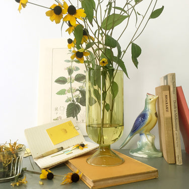 Entryways Empty Moss Cloche Vessel