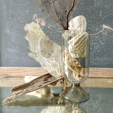 Entryways Empty Smoke Cloche Vessel