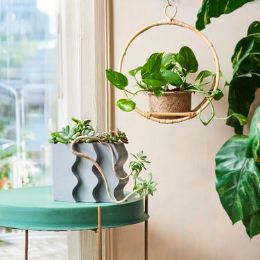 Entryways Hanging Halo Rattan & Coir Planter