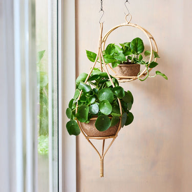 Entryways Hanging Pendant Rattan & Coir Planter