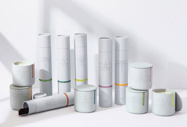 Entryways Palo Santo Citronella Jumbo Incense