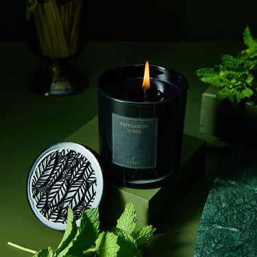 Entryways Peppermint Sable Obsidian Candle
