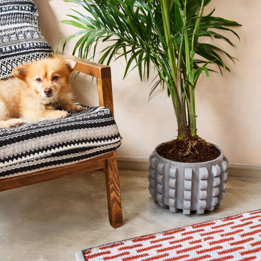 Entryways Ripple Cement Planter