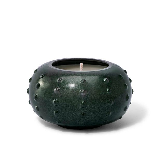 entryways Forest Green Candlescapes Teakwood Fir Candle 10 oz