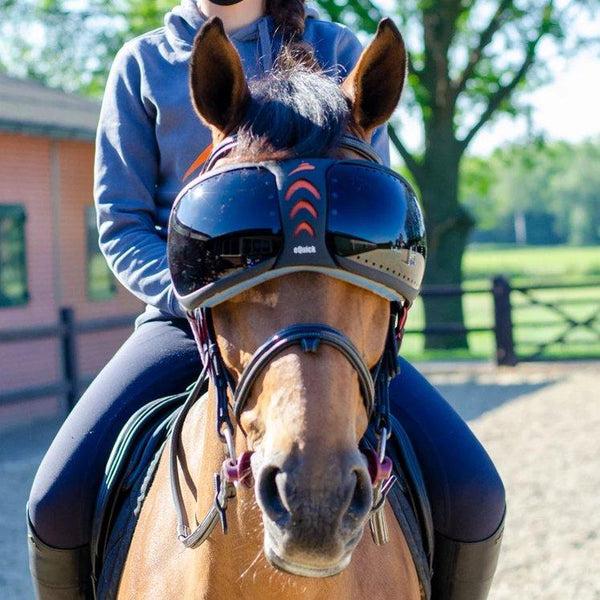 equisafety eQuick eVysor Horse Mask - Horse Comfort - Darker