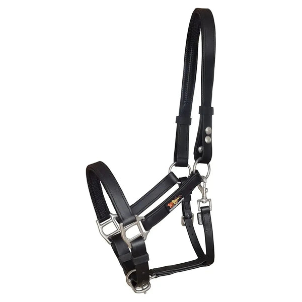 equisafety Equilibrium Stellar Safety Headcollar Black