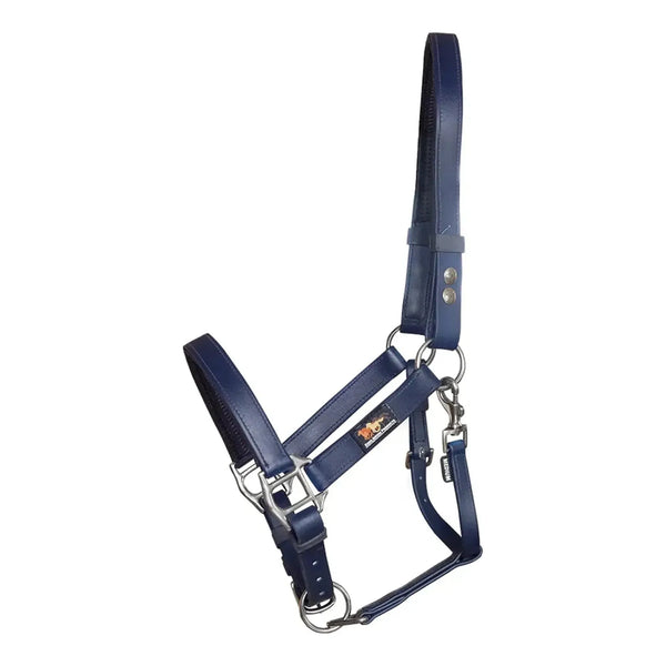 equisafety Equilibrium Stellar Safety Headcollar Navy