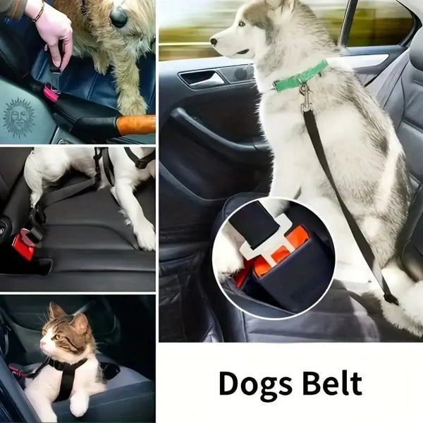equisafety Dog Seat Belt