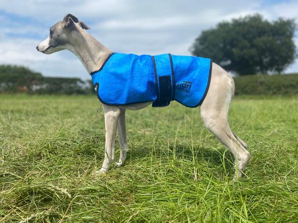 equisafety EASIDRI COOLING COAT