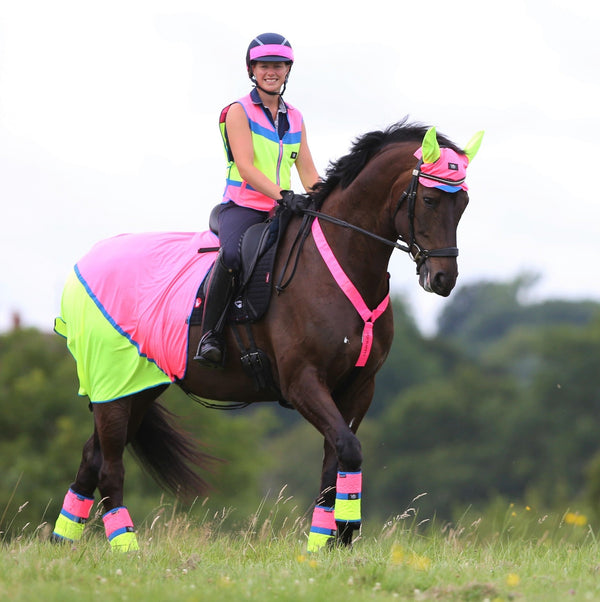 equisafety Equisafety Hi Vis Ear Bonnet P/Y