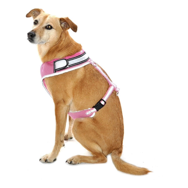 equisafety Equisafety LED Flashing Hi Vis Reflective Dog Harness