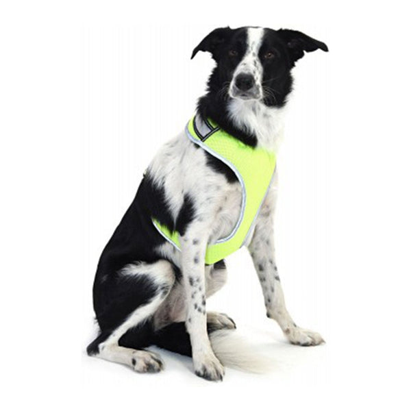 equisafety Equisafety LED Hi Vis Reflective Dog Harness Small - Yellow