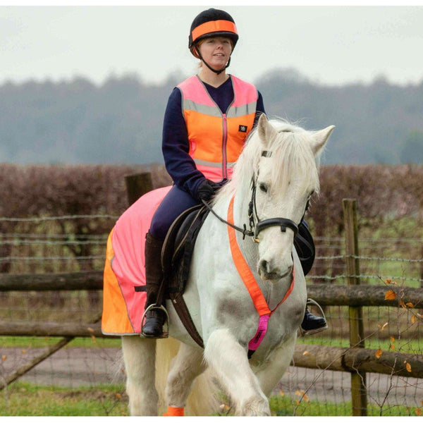 equisafety Equisafety Multi Coloured Hi Vis Neck Band - Pink/Orange