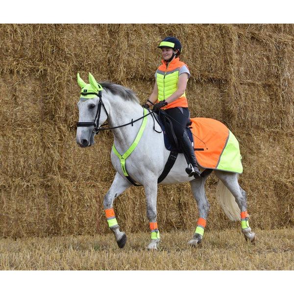 equisafety Equisafety Multi Coloured Waterproof Hi Viz Horse Sheet - Yellow / Orange