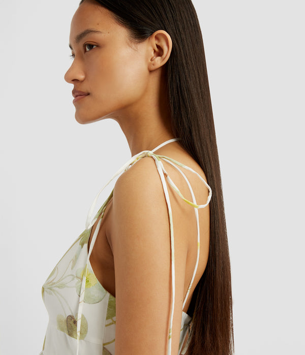 Erdem Strappy Fit And Flare Dress