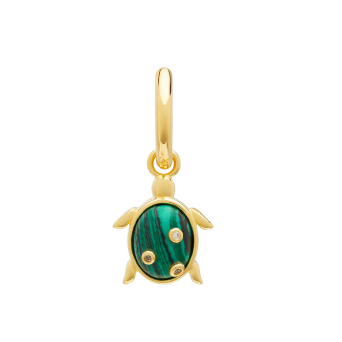 eshvi Single Turtle Earring
