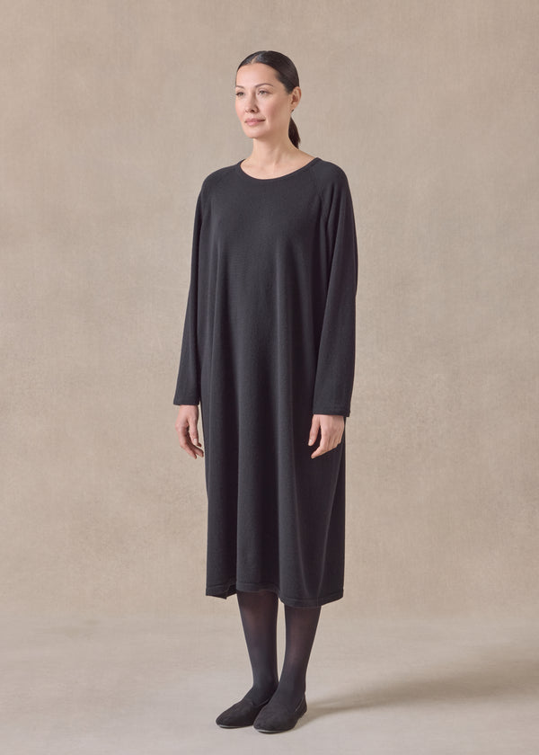 Eskandar Cashmere Raglan Sleeve Round Neck Dress