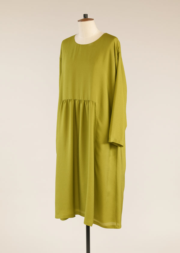 Eskandar Silk A-line Round Neck Dress With 'pleated Panels'