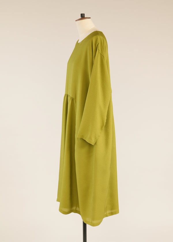 Eskandar Silk A-line Round Neck Dress With 'pleated Panels'