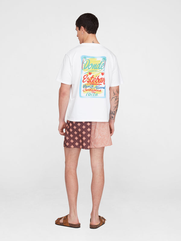 Esteban Cortazar Brown Estrellitas Shorts Brown Estrellitas