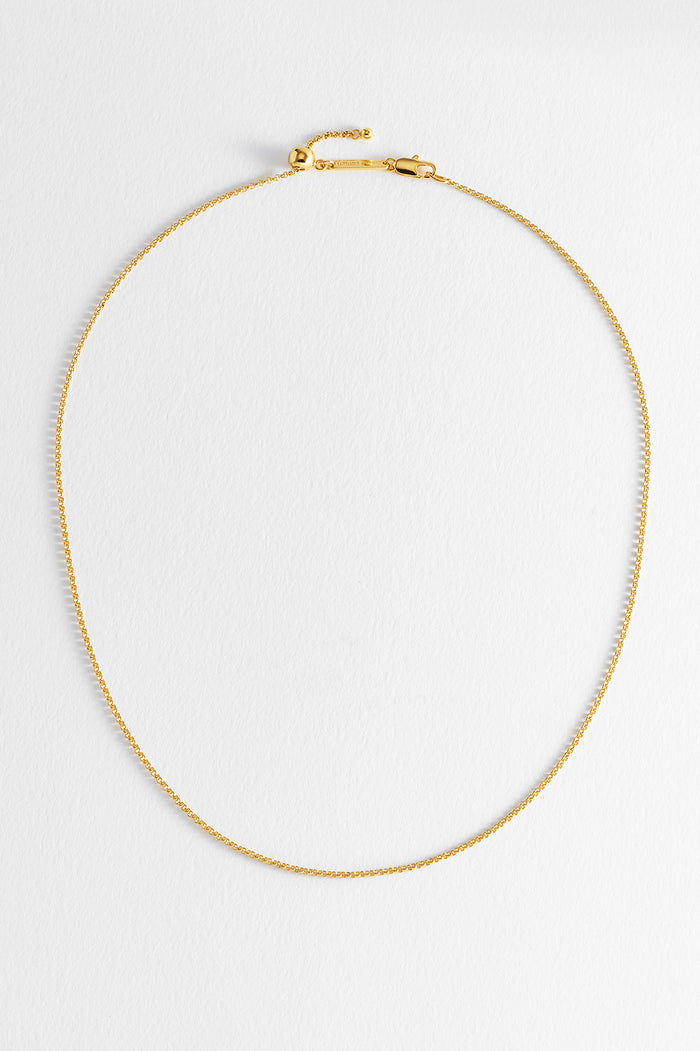 Estella Bartlett Belcher Chain Gold Plated