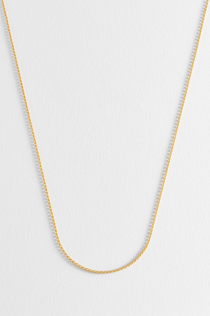 Estella Bartlett Belcher Chain Gold Plated