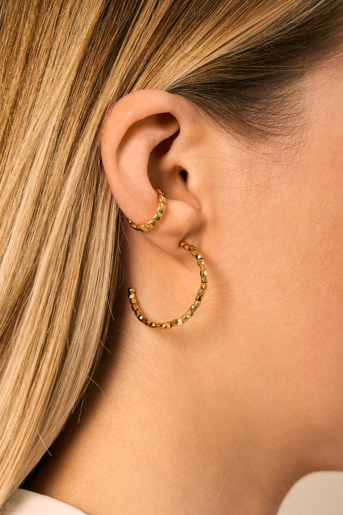 Estella Bartlett Coco Hoops Gold Plated