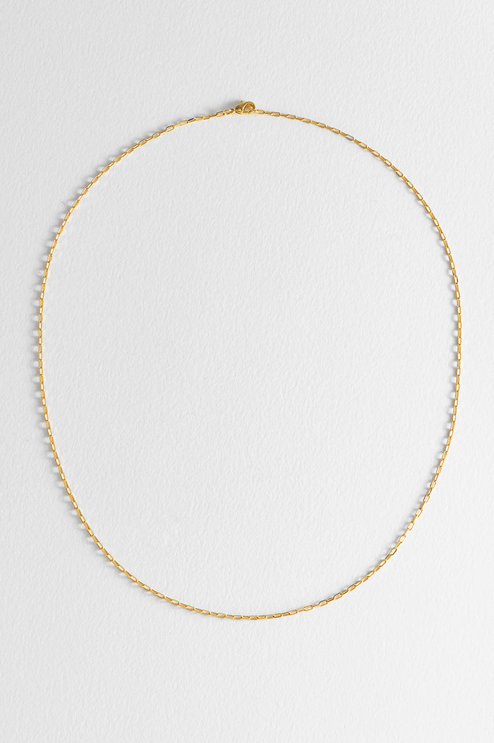 Estella Bartlett Oval Chain Gold Plated