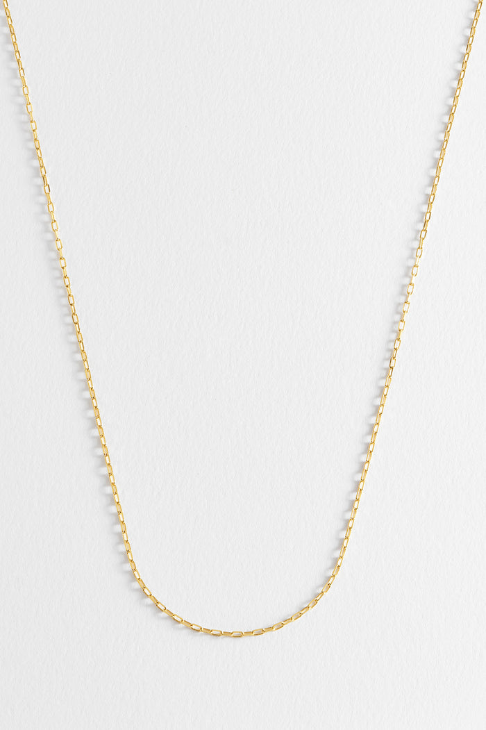 Estella Bartlett Oval Chain Gold Plated