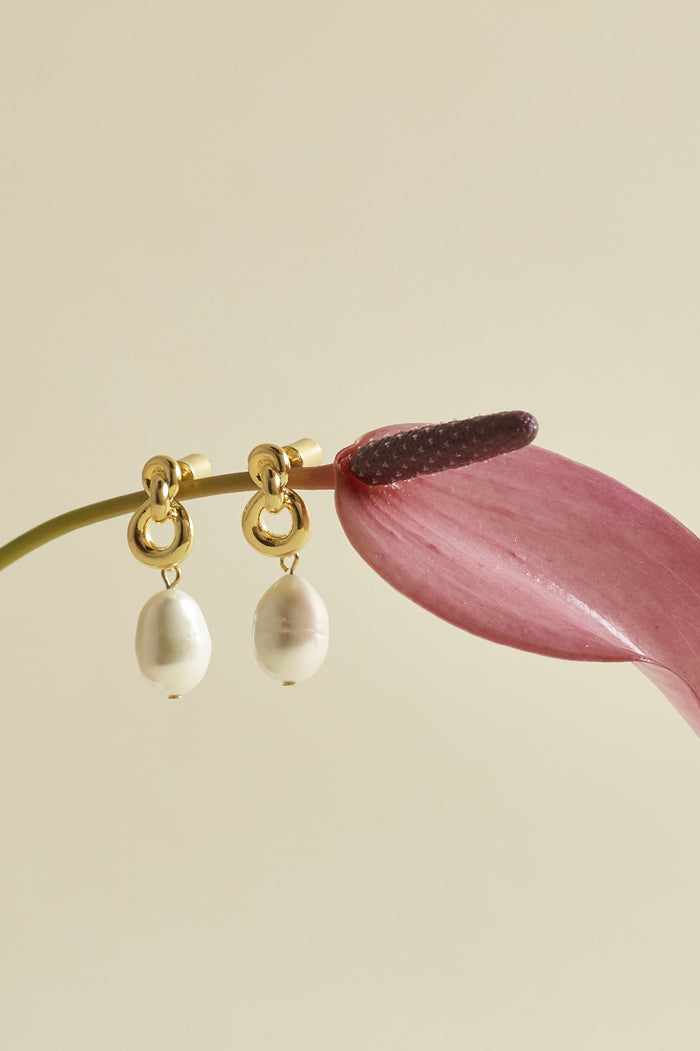 Estella Bartlett Knot And Pearl Drop Earrings Gold Plated | Pearl