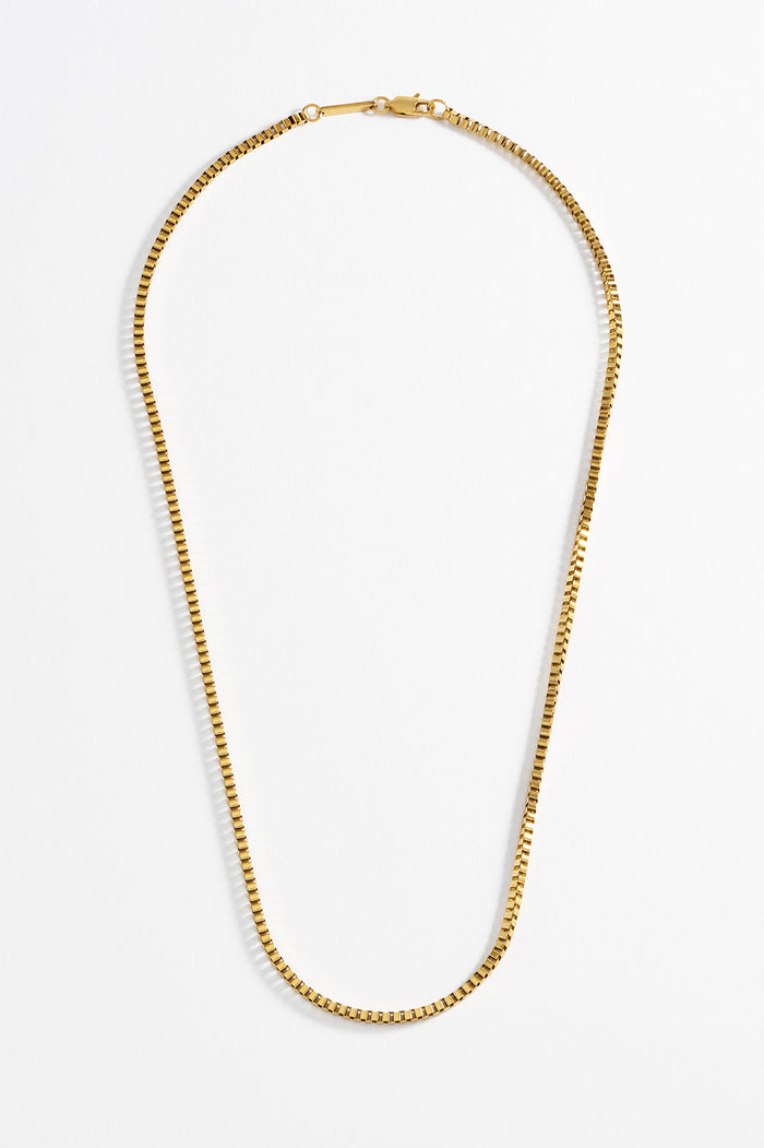 Estella Bartlett Men's Box Chain Necklace Waterproof PVD Gold Plated