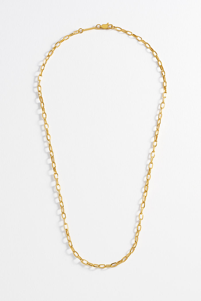 Estella Bartlett Men's Paperclip Chain Necklace Waterproof PVD Gold Plated