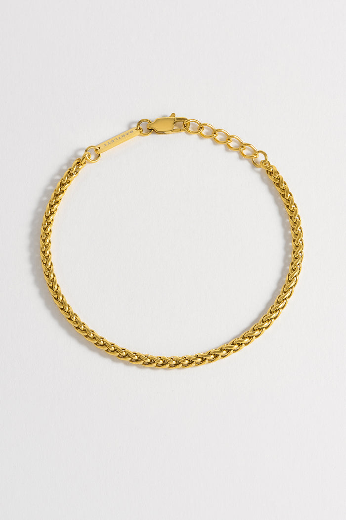 estella bartlett Men's Spiga Chain Bracelet Waterproof PVD Gold Plated
