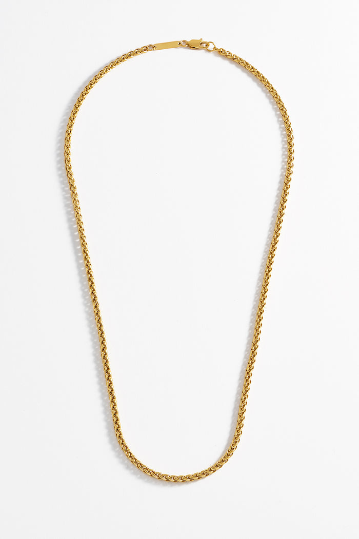 Estella Bartlett Men's Spiga Chain Necklace Waterproof PVD Gold Plated